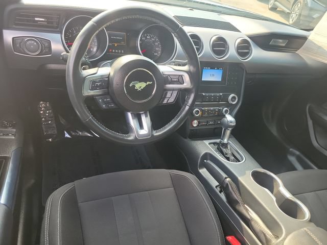 Certified 2023 Ford Mustang GT w/ Mustang Nite Pony Package RWD image 10