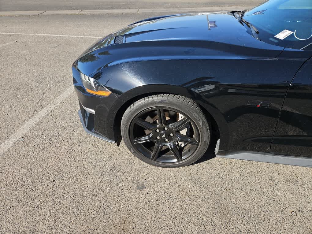 Certified 2019 Ford Mustang GT w/ Equipment Group 301A RWD image 3