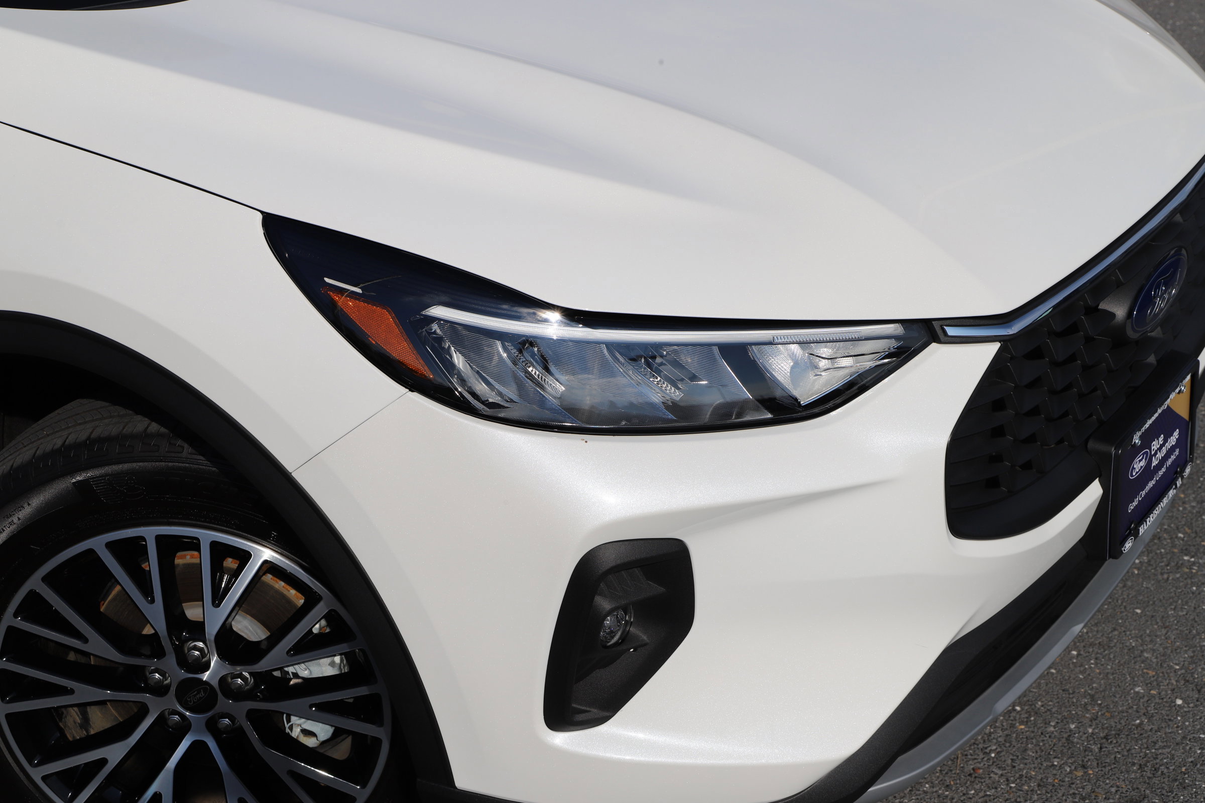 Certified 2025 Ford Escape PHEV image 6