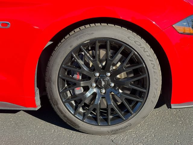Certified 2019 Ford Mustang GT Premium w/ GT Performance Package RWD image 10
