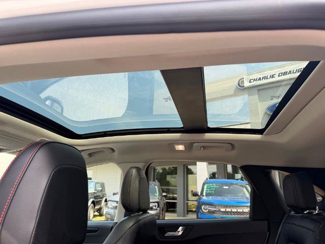 Certified 2022 Ford Escape SEL w/ SEL Stealth AWD Package image 15