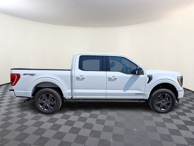 Certified 2023 Ford F150 XLT w/ Equipment Group 302A High AWD/4WD image 8