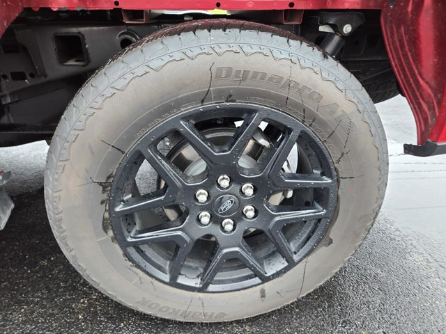 Certified 2024 Ford F150 STX w/ STX Black Appearance Package AWD/4WD image 41
