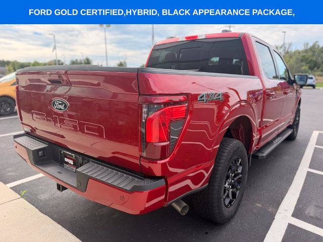 Certified 2024 Ford F150 XLT w/ Equipment Group 302A MID AWD/4WD image 7