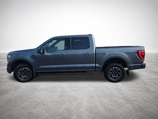Certified 2021 Ford F150 XLT w/ Equipment Group 302A High AWD/4WD image 5