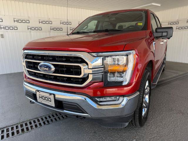 Certified 2023 Ford F150 XLT w/ Equipment Group 302A High AWD/4WD image 27