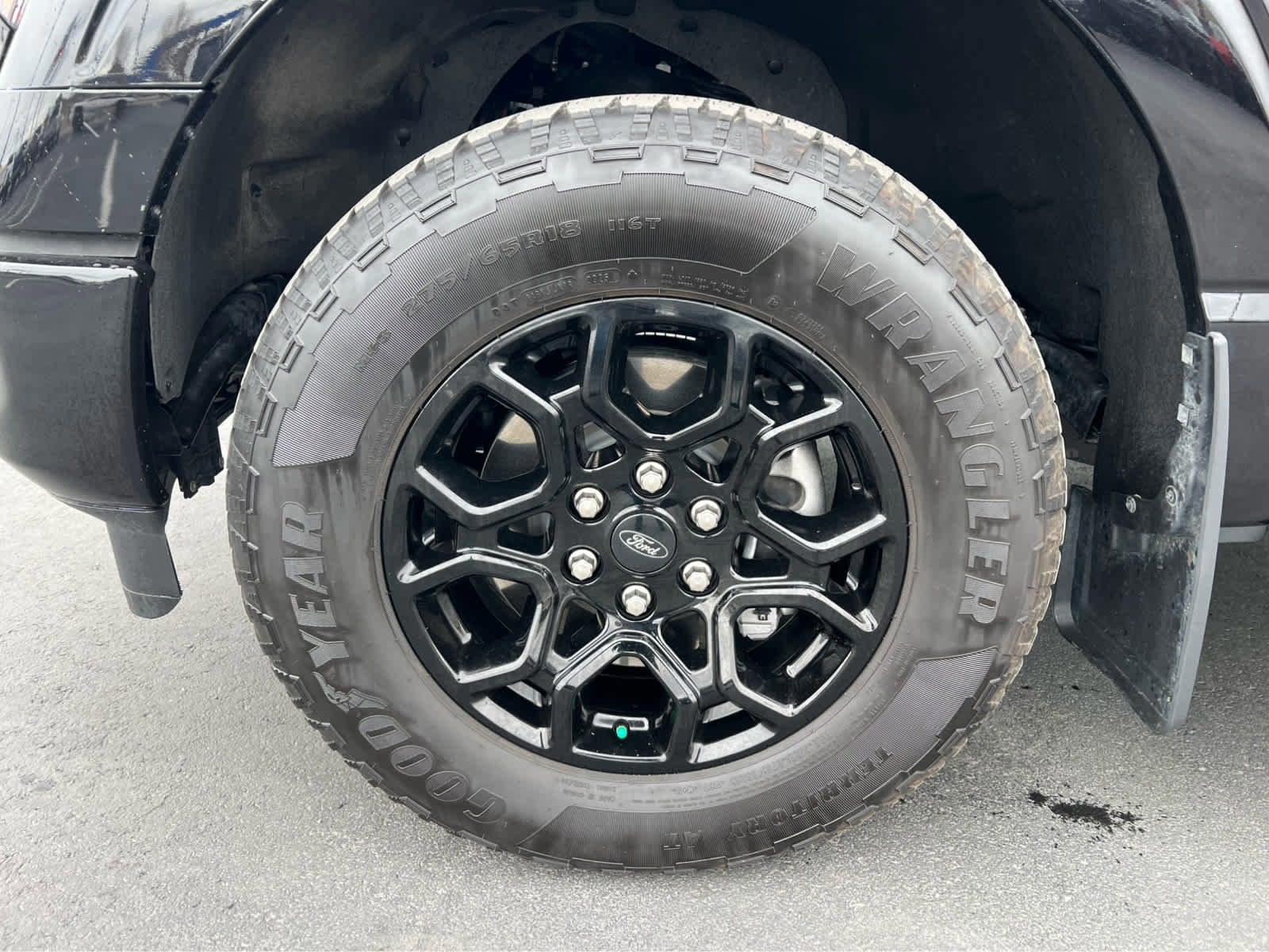 Certified 2025 Ford F150 XLT w/ Equipment Group 301A Standard image 13