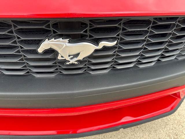 Certified 2025 Ford Mustang Premium RWD image 16