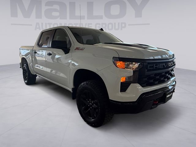 Used 2025 Chevrolet Silverado 1500 Custom Trail Boss AWD/4WD image 7