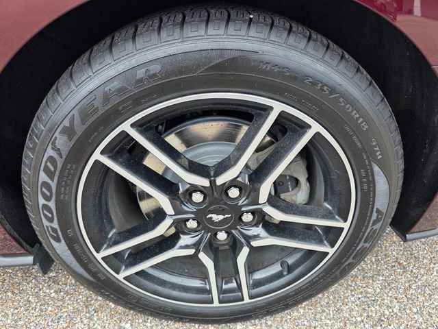 Certified 2018 Ford Mustang GT w/ Equipment Group 301A RWD image 11