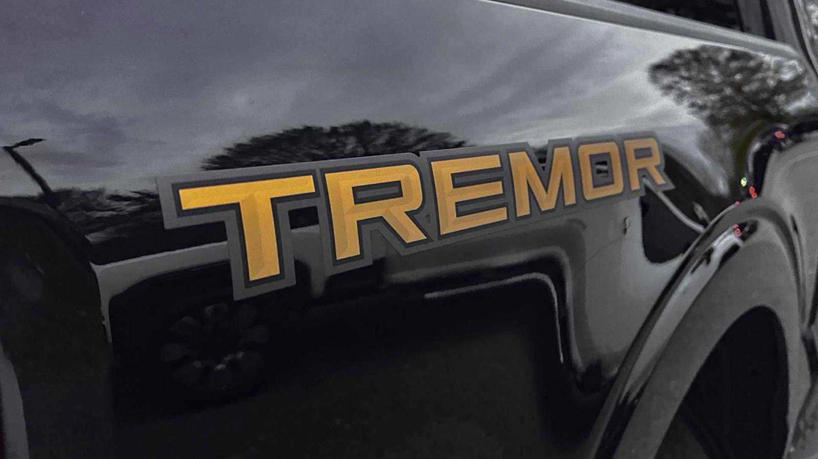 Certified 2023 Ford F150 Tremor image 10