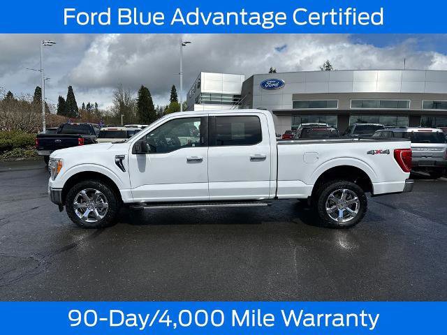 Certified 2023 Ford F150 XLT w/ Equipment Group 301A Mid image 3