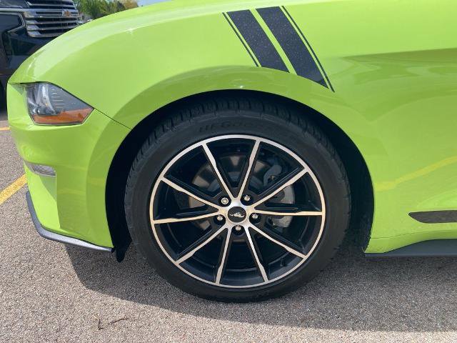 Certified 2020 Ford Mustang Premium w/ Equipment Group 201A RWD image 12
