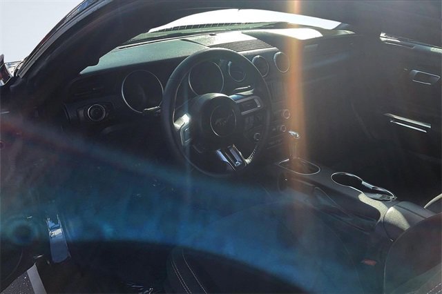 Certified 2023 Ford Mustang Coupe w/ Mustang Nite Pony Package image 14