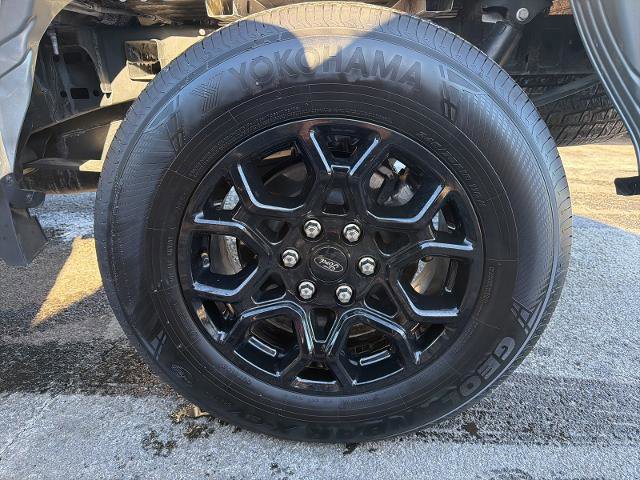 Certified 2024 Ford F150 XLT w/ XLT Black Appearance Package image 27