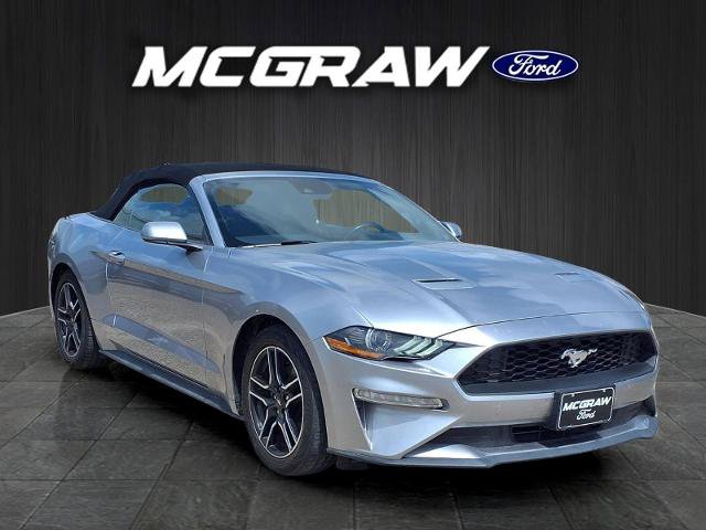 Certified 2023 Ford Mustang Premium RWD image 4