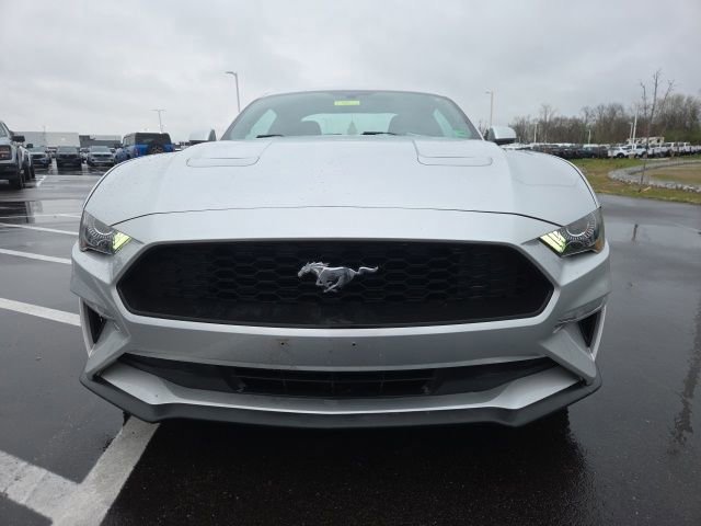 Certified 2019 Ford Mustang Coupe image 7
