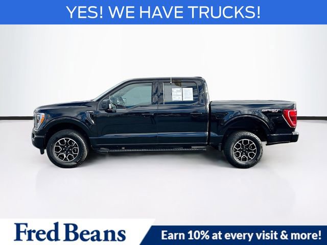 Certified 2023 Ford F150 XLT w/ Equipment Group 302A High image 5