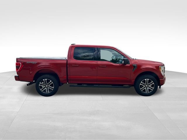 Certified 2023 Ford F150 XLT w/ Equipment Group 302A High AWD/4WD image 5