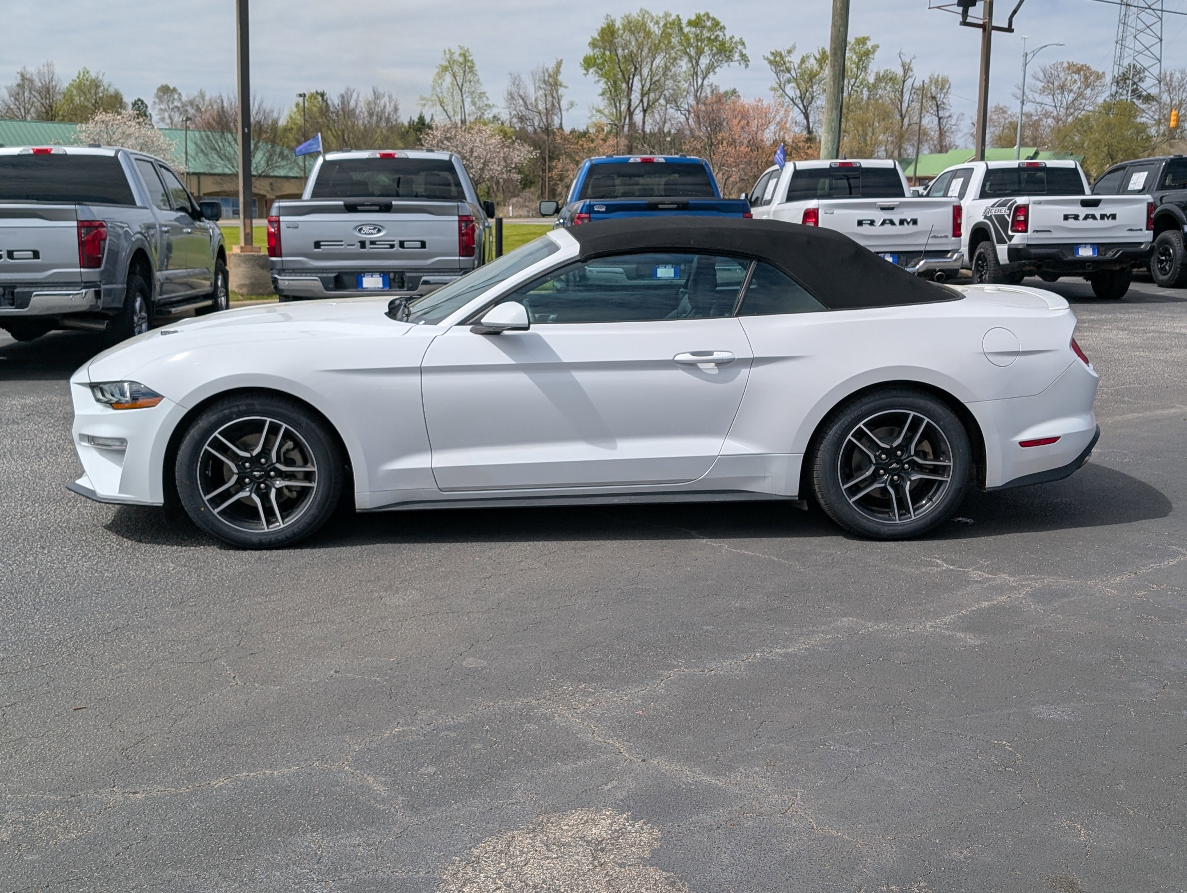 Certified 2021 Ford Mustang Premium image 6
