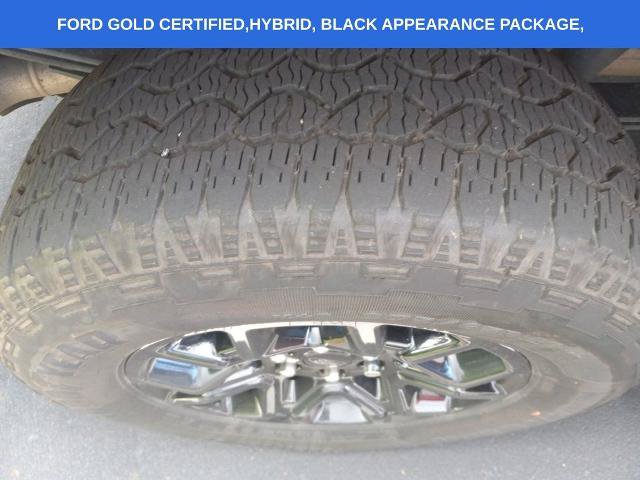 Certified 2024 Ford F150 XLT w/ Equipment Group 302A MID AWD/4WD image 15