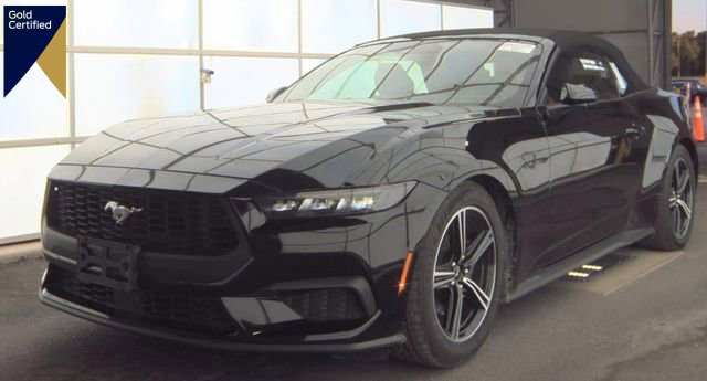 Certified 2025 Ford Mustang Premium RWD image 1
