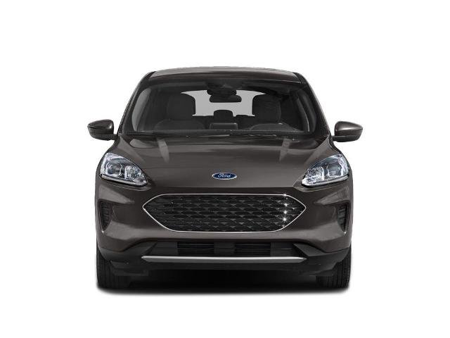 Certified 2022 Ford Escape SE w/ SE Sport Appearance Package AWD/4WD image 4