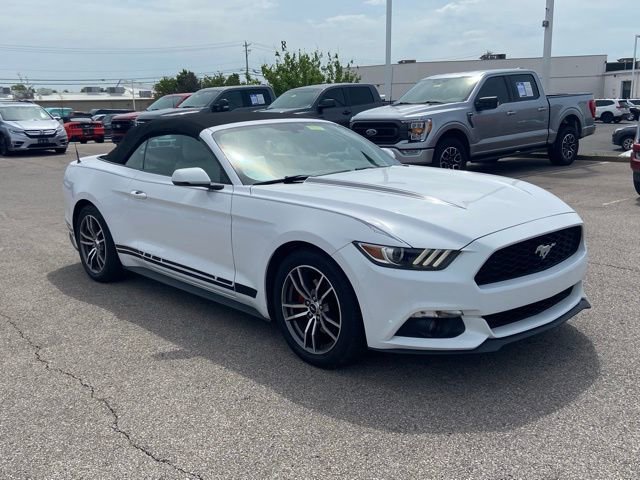Certified 2017 Ford Mustang Premium RWD image 2
