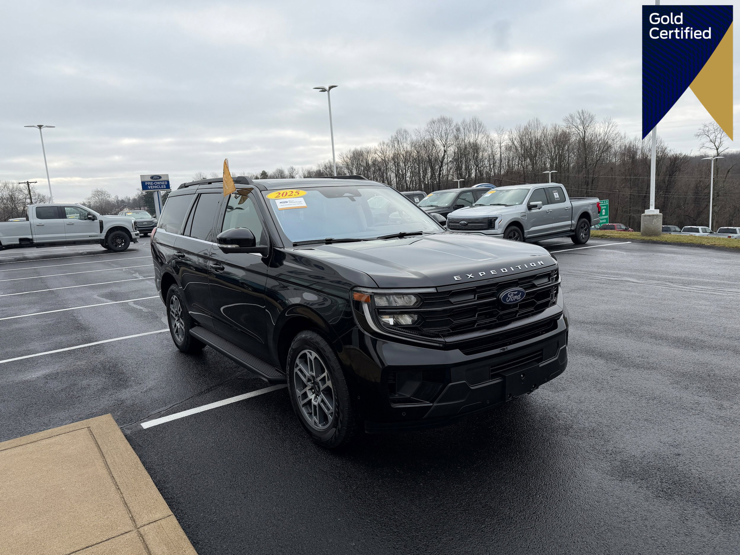 Certified 2025 Ford Expedition Active