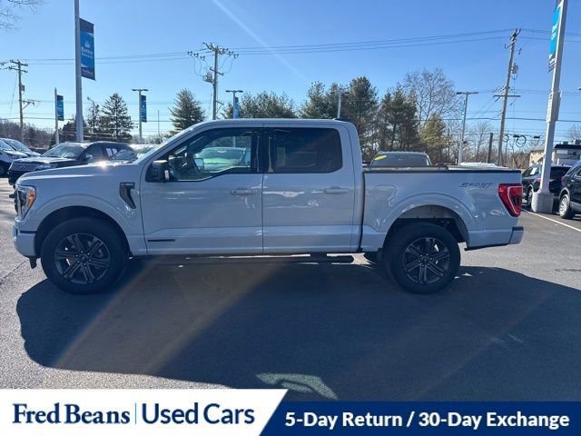 Certified 2023 Ford F150 XLT w/ Equipment Group 302A High image 2