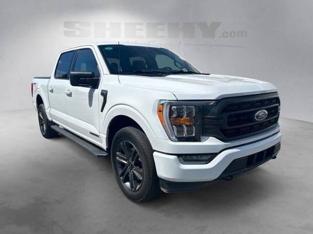 Certified 2023 Ford F150 XLT w/ Equipment Group 302A High AWD/4WD image 2