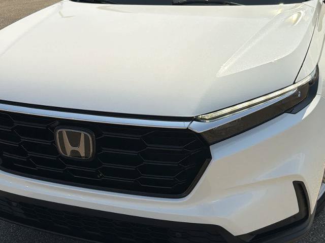 Used 2024 Honda CR-V EX-L image 11
