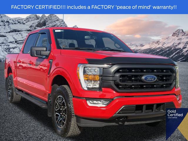 Certified 2023 Ford F150 XLT w/ Equipment Group 302A High