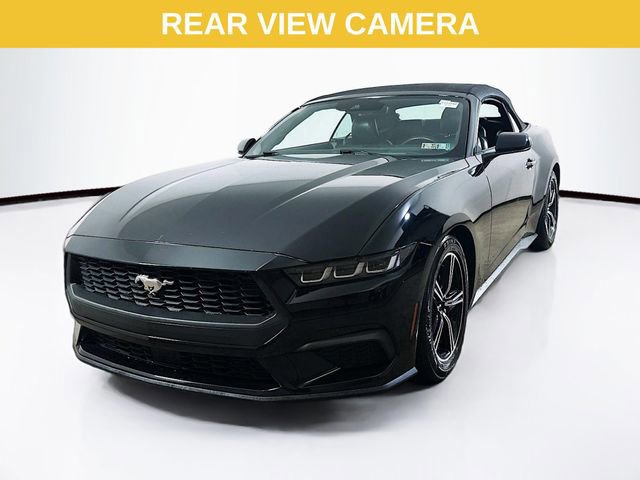 Certified 2024 Ford Mustang Premium image 1