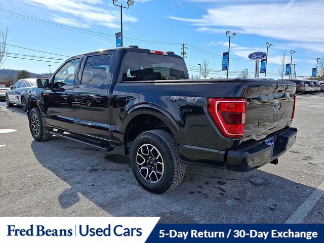 Certified 2023 Ford F150 XLT w/ Equipment Group 302A High image 8