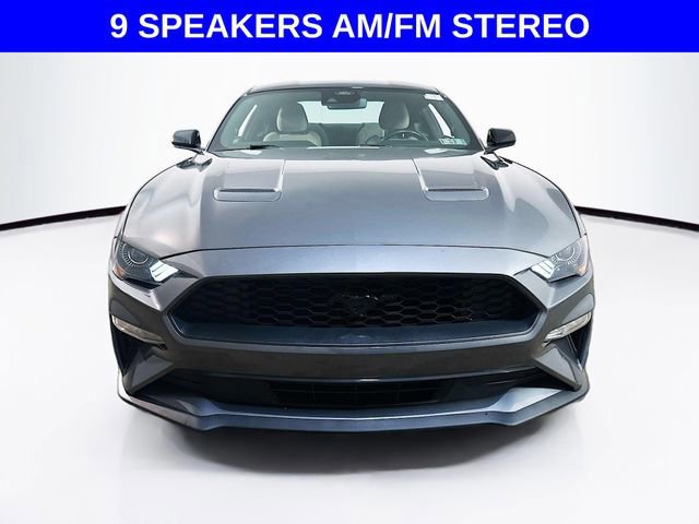 Certified 2023 Ford Mustang Coupe w/ Equipment Group 101A image 7