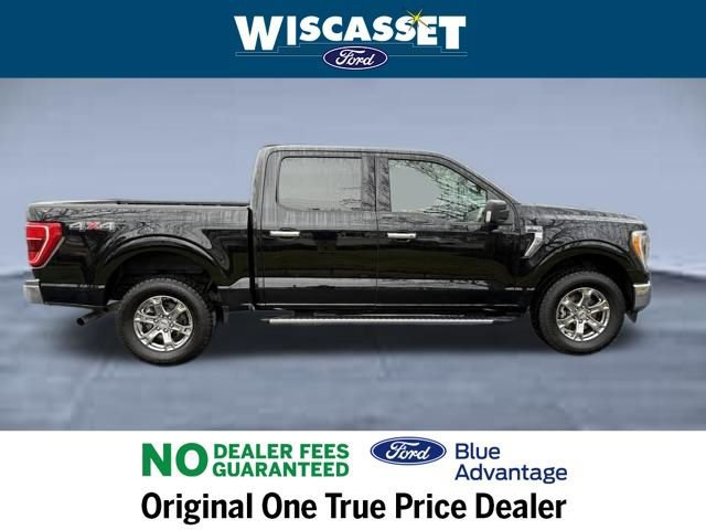 Certified 2022 Ford F150 XLT w/ Equipment Group 302A High image 6