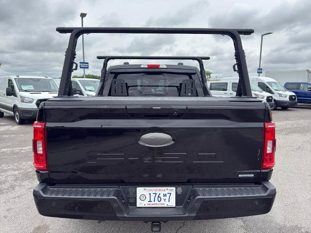 Certified 2023 Ford F150 XLT w/ Equipment Group 302A High AWD/4WD image 6