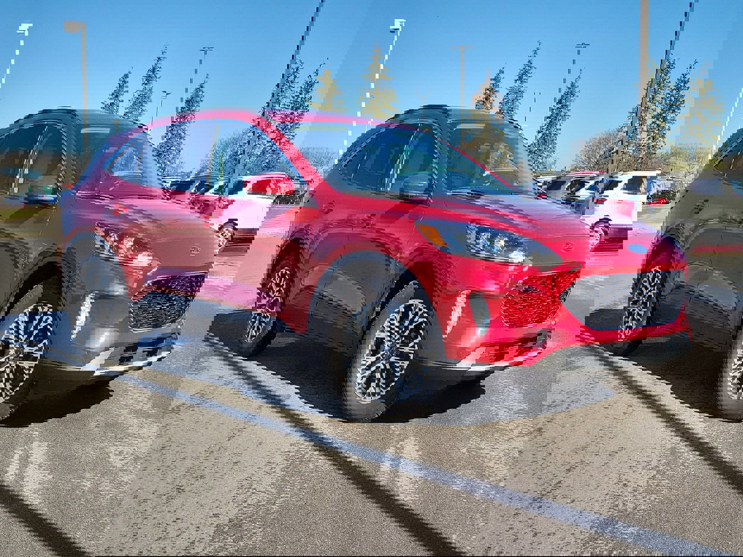 Certified 2020 Ford Escape SEL image 5