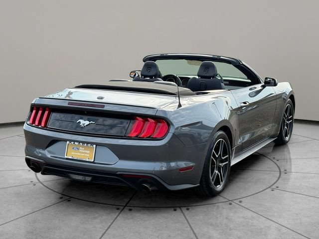 Certified 2022 Ford Mustang Premium w/ Ford Safe & Smart Package RWD image 10