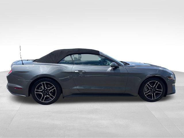 Certified 2023 Ford Mustang Premium w/ Equipment Group 201A image 5