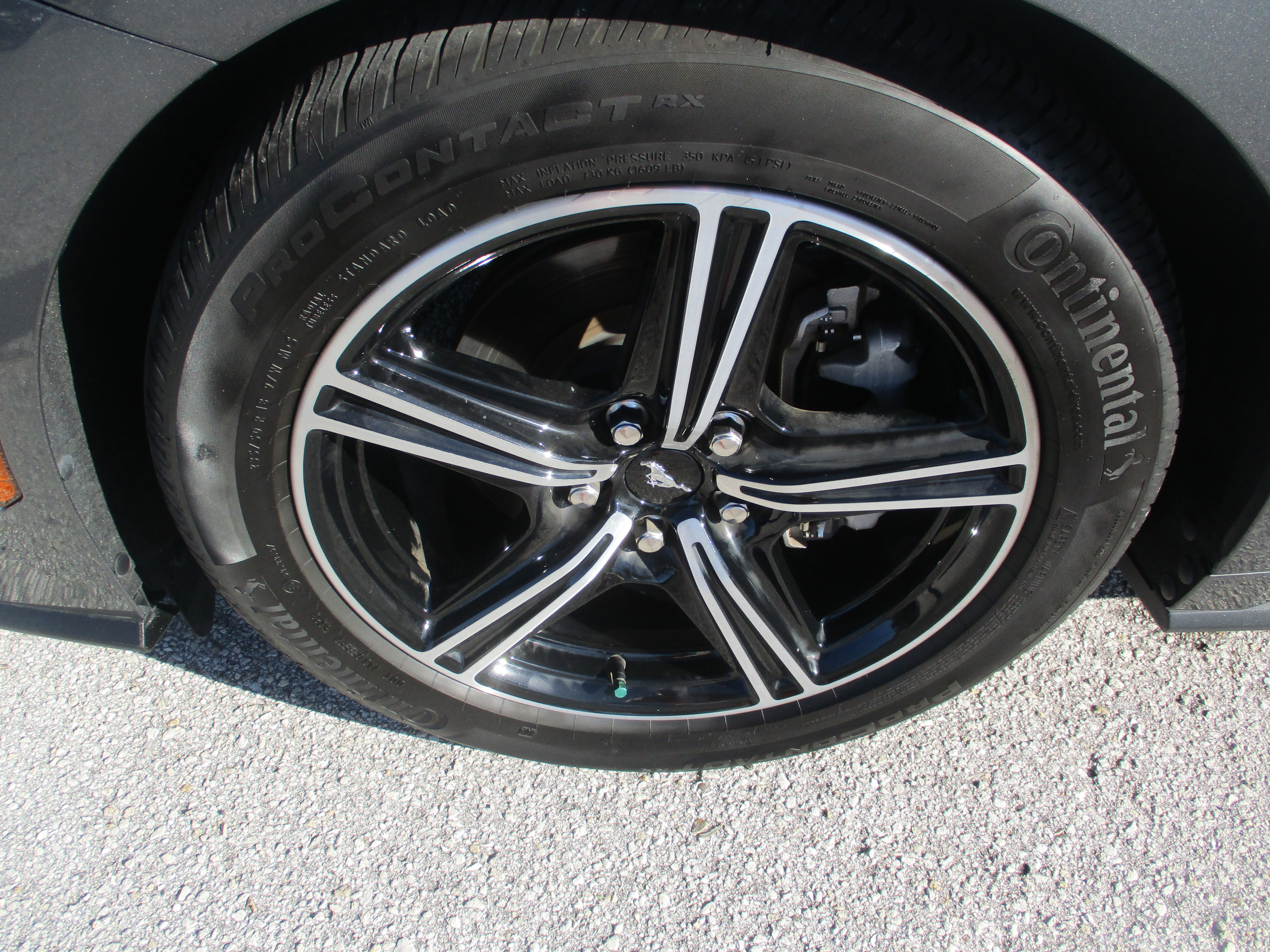 Certified 2024 Ford Mustang Premium image 9