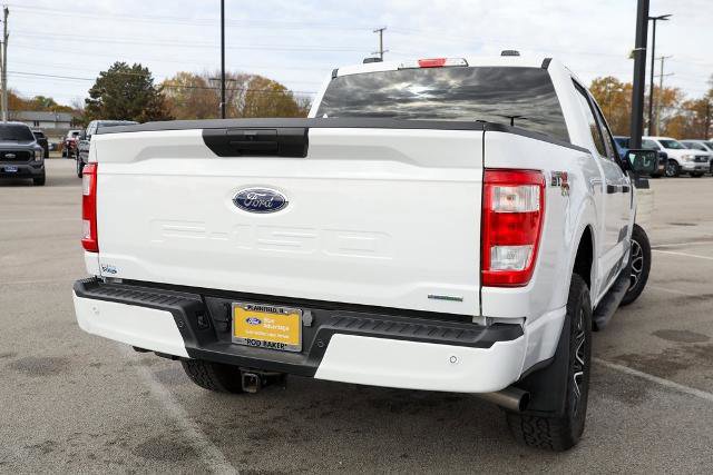 Certified 2023 Ford F150 XL w/ XL STX Apperance Package image 4