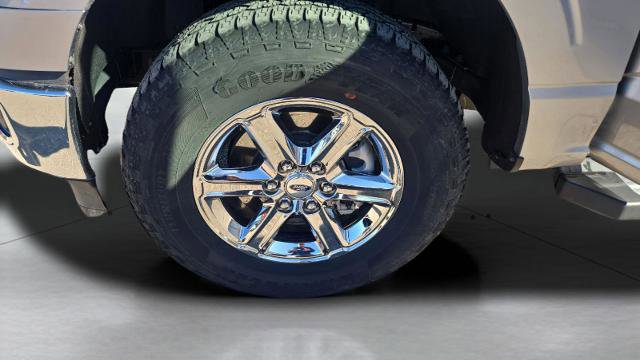 Certified 2025 Ford F150 XLT w/ Equipment Group 301A Standard image 17