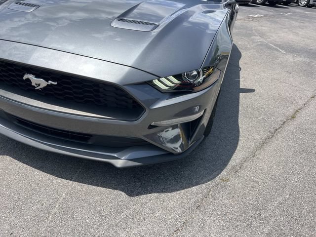 Certified 2023 Ford Mustang Premium RWD image 11