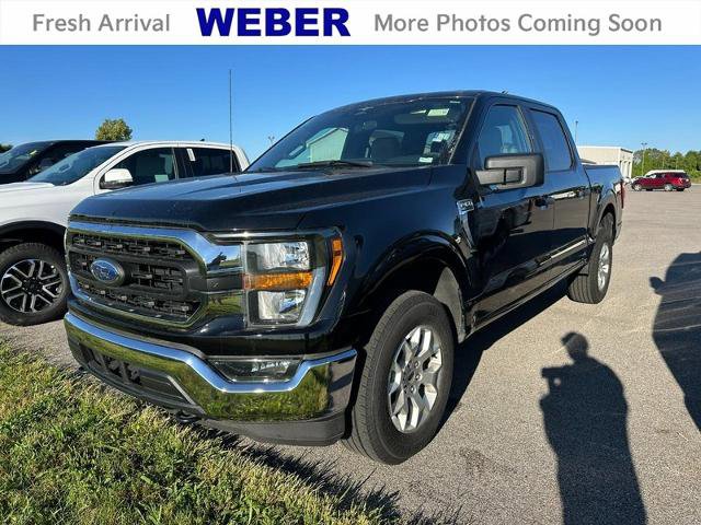 Certified 2023 Ford F150 XLT