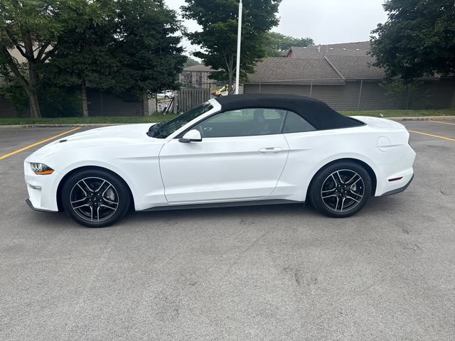 Certified 2018 Ford Mustang Premium RWD image 2