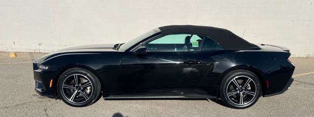 Certified 2024 Ford Mustang Premium RWD image 3