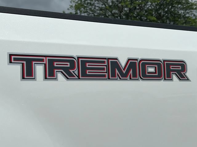 Certified 2022 Ford F250 Platinum w/ Tremor Off-Road Package AWD/4WD image 2