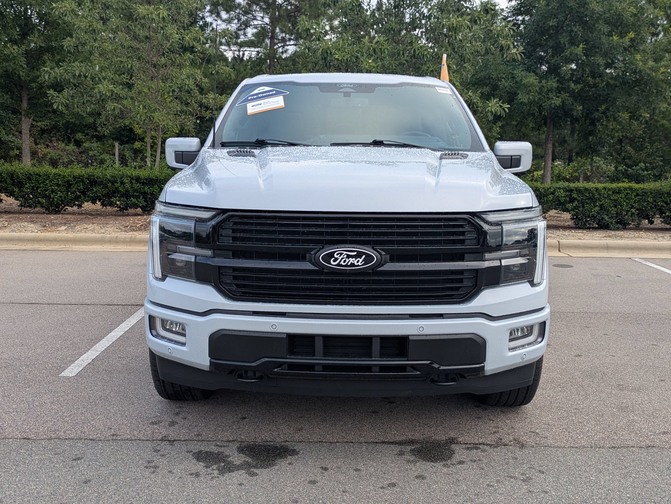 Certified 2025 Ford F150 Platinum w/ Equipment Group 702A High AWD/4WD image 9